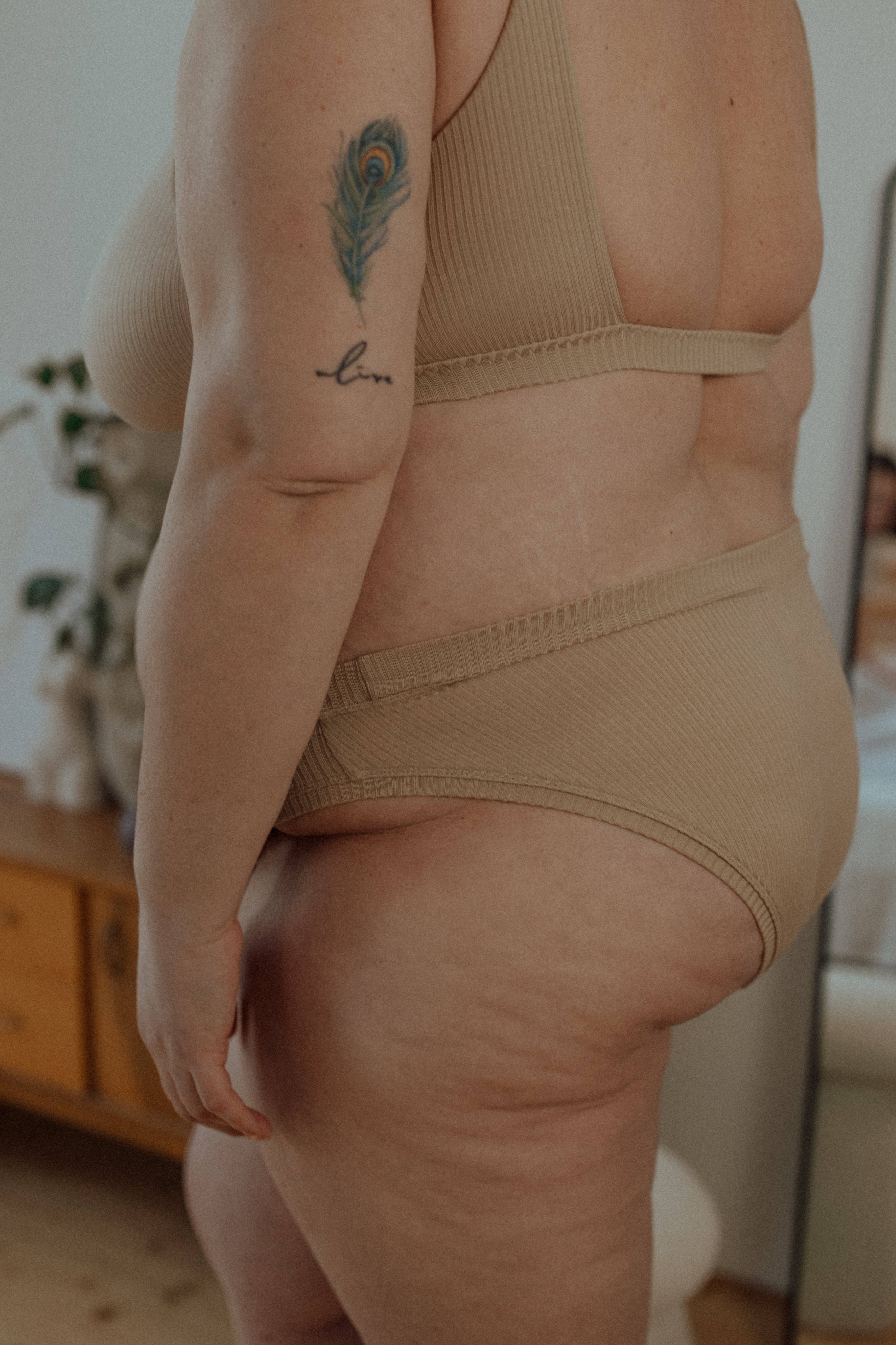 3x Dahlia ribbed