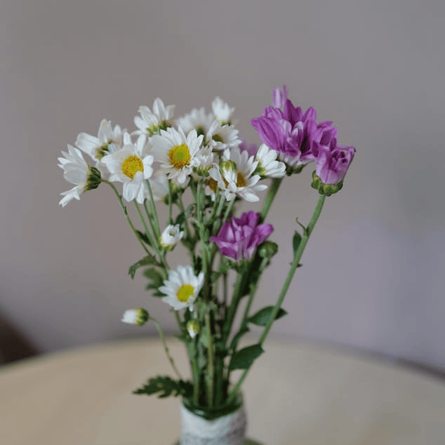 pexels-tonywuphotography-17441661.png